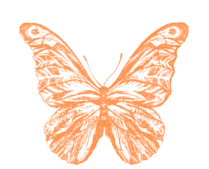 Butterfly illustration symbolizing growth and support for immigrant students.